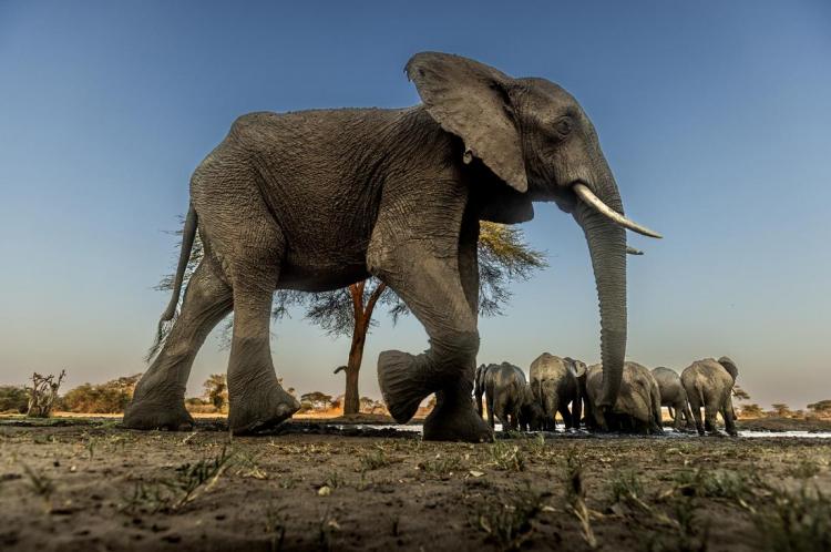 WEB_JN_2024_BOTSWANA_8618