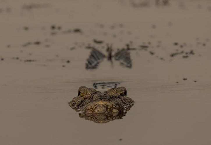 WEB_JN_2024_BOTSWANA_9413