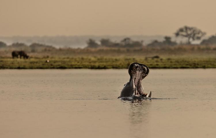 WEB_JN_2024_BOTSWANA_9483