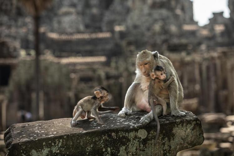 WEB_JN_2024_KAMBODJA_2378